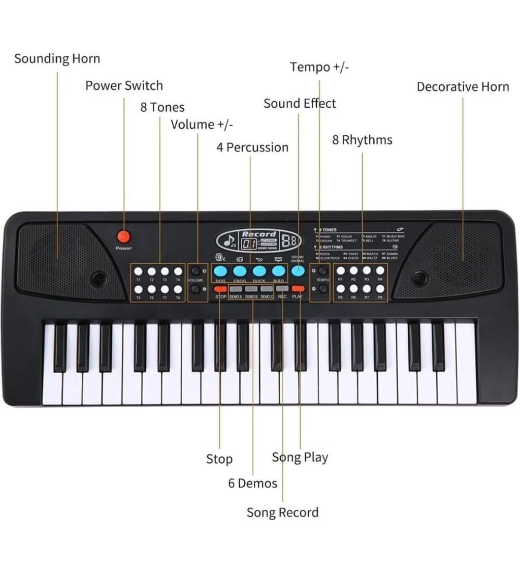 Kids Piano Keyboard with Mic