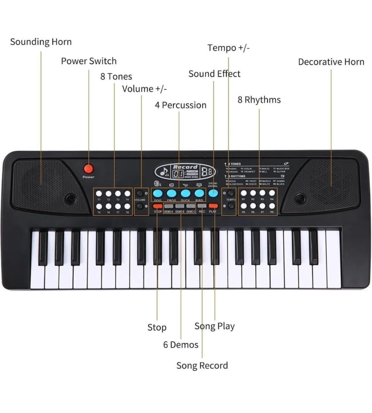 Kids Piano Keyboard with Mic